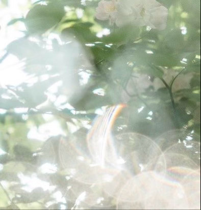 🌾‎阳光‎信用 💐‎每日一善 时代在召唤我们这一代青年人，用辛勤的汗水汇聚成
