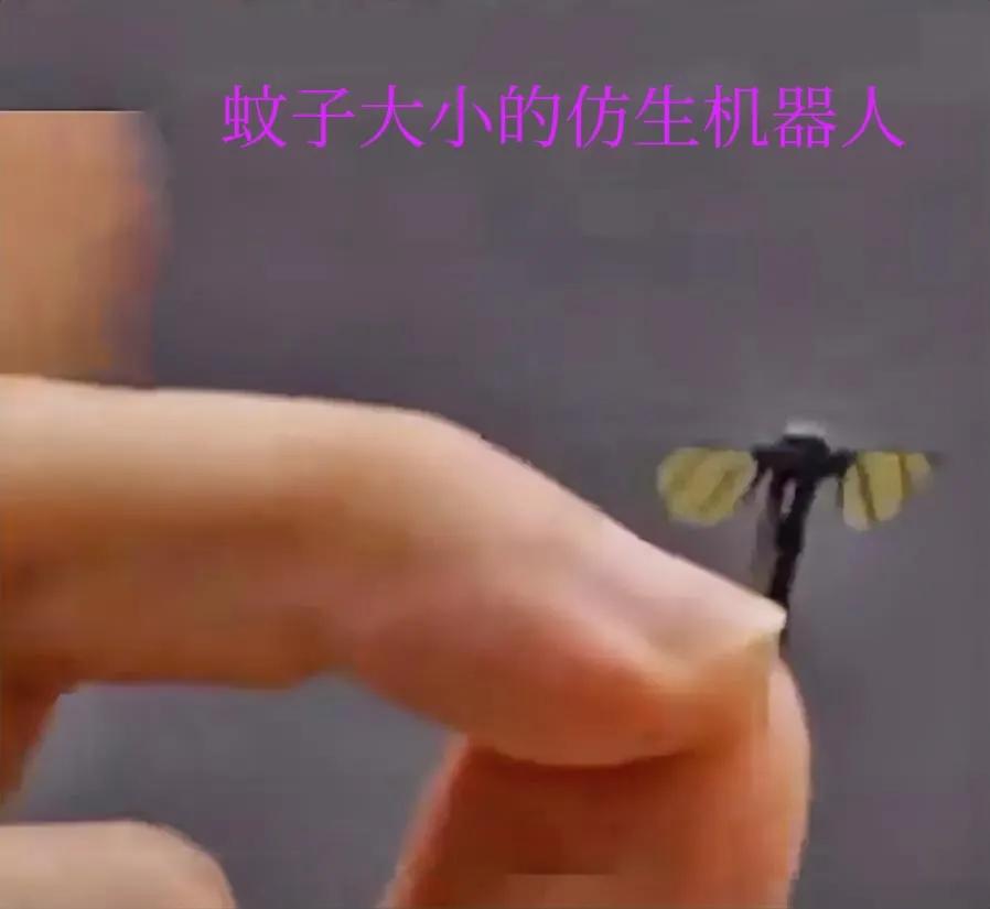 仿生机器人进入微观时代，目前国内最小的仿生机器人，只有蚊子大小。
这种微型机器人