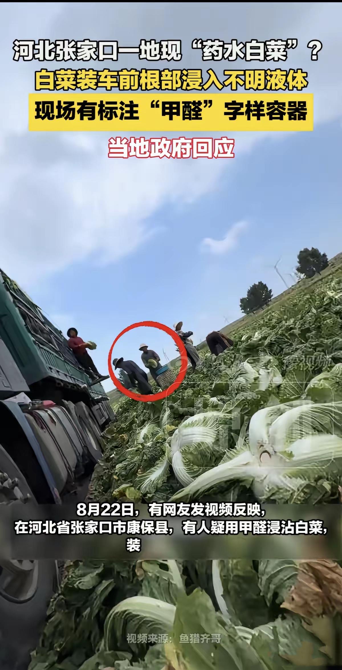 中午还在怀疑网传消息是不是谣言，

没料到下午官方就给出了证实，看完心里一阵发凉