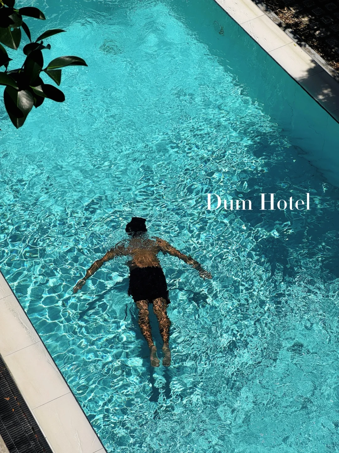 清迈｜人均170r住到了人生酒店🏊🏿‍♂️⛱️