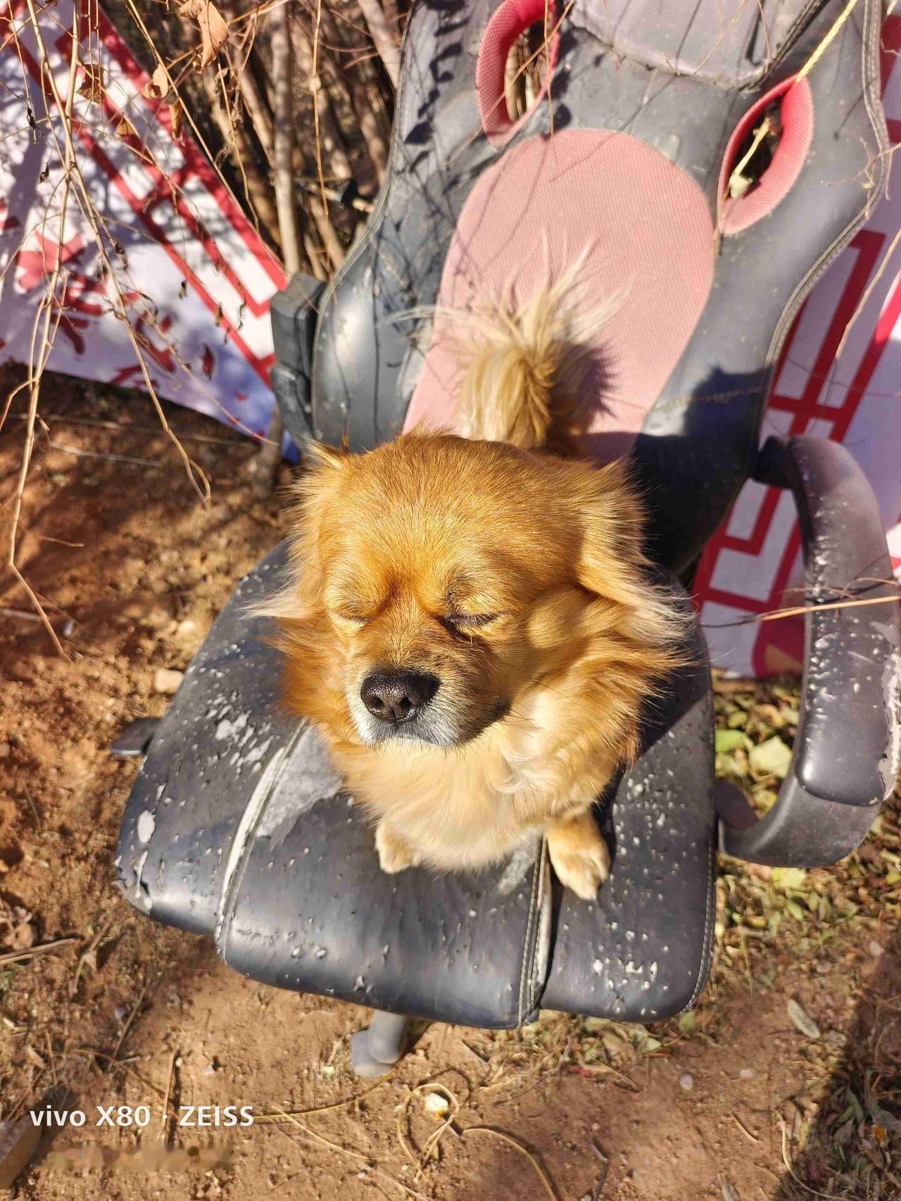 我的今日状态：🏃‍➡️运动
我这里的天气：☀️晴天