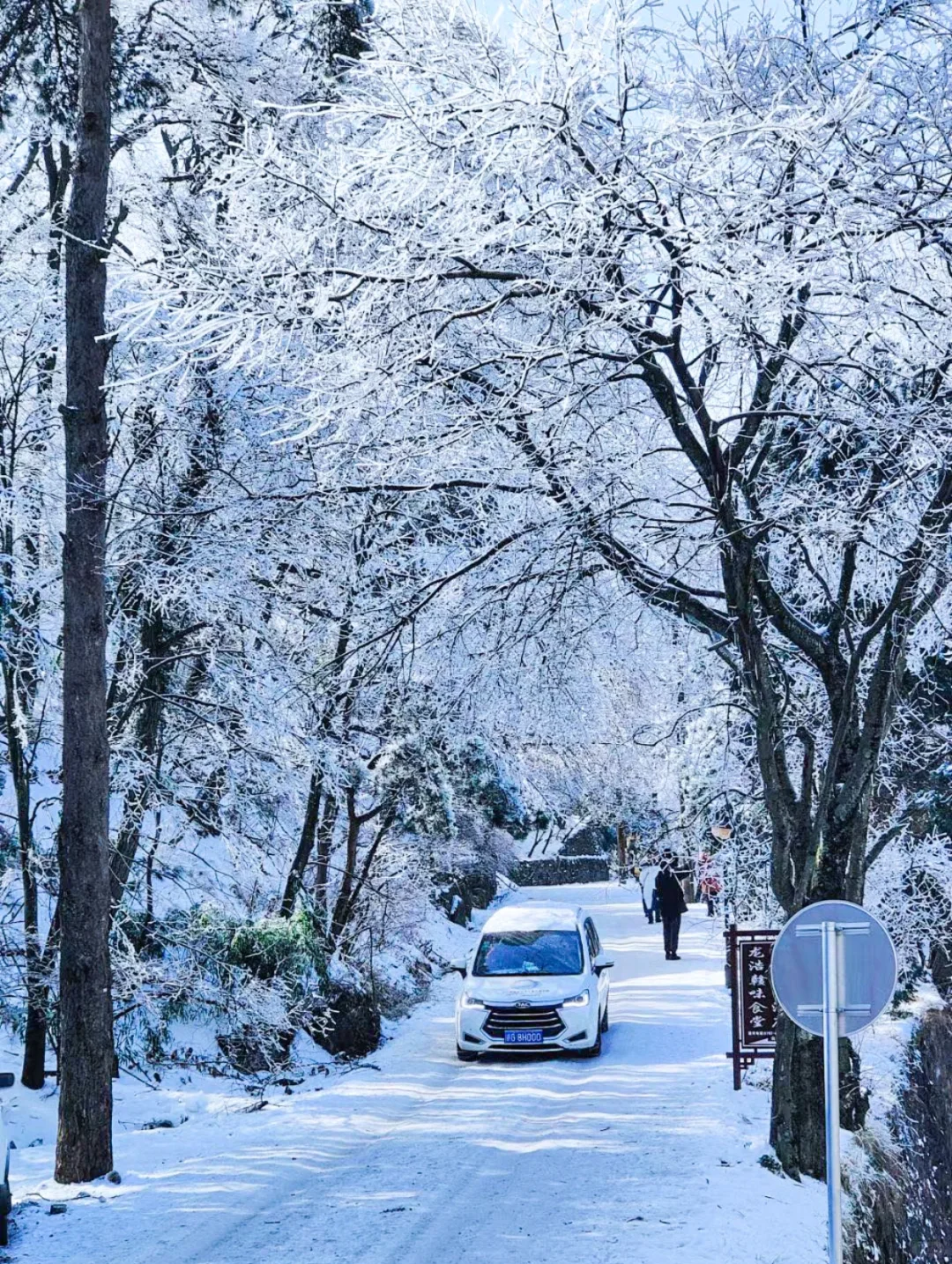 今年冬天一定要带娃去庐山看雾凇雪景！！