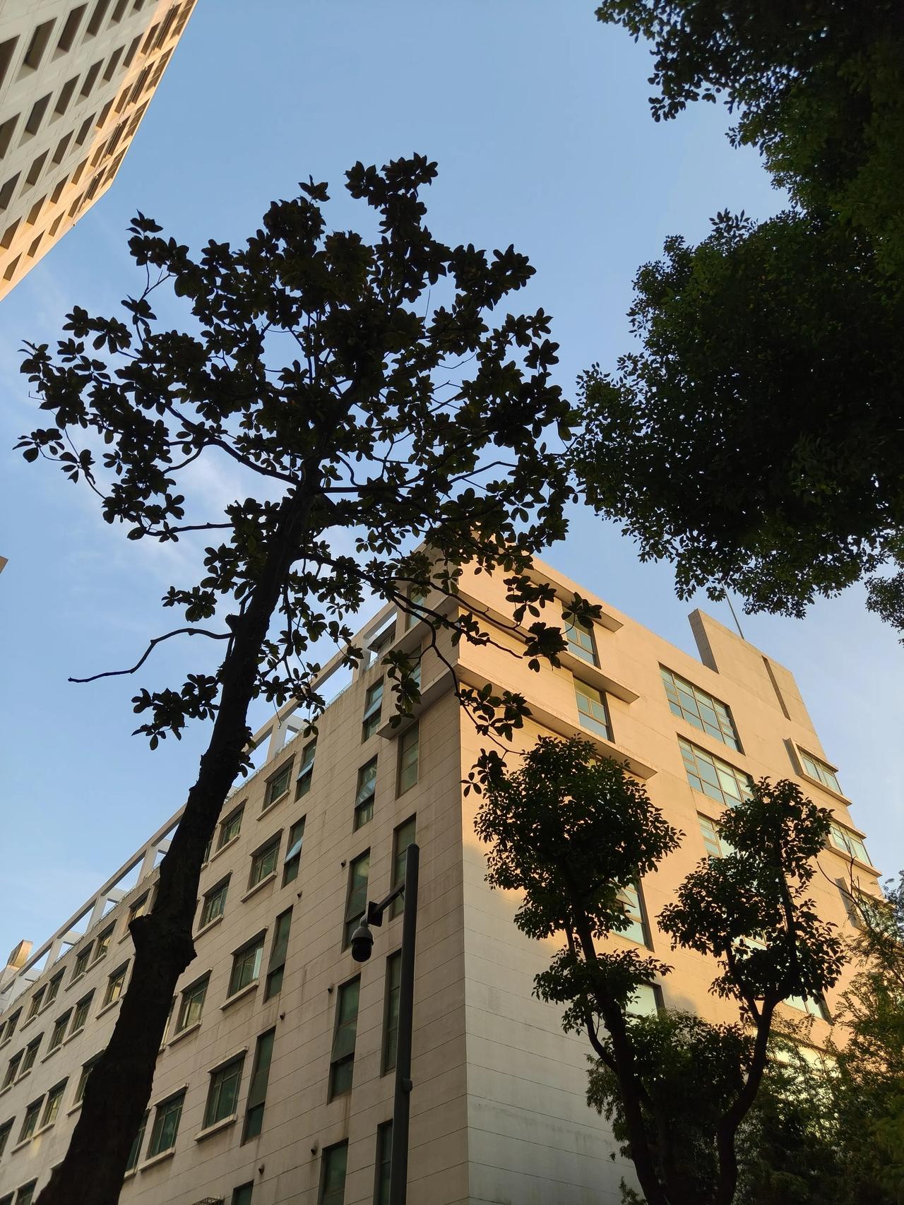 太阳落山了～🌞🌞🌞🌞

身边的风景随手拍～🌲🌲🌲🌲