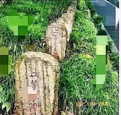 太赞了！
腾冲又一次拒绝了日本。
这次日方想拿出3.5亿资金帮忙修高速，条件是换