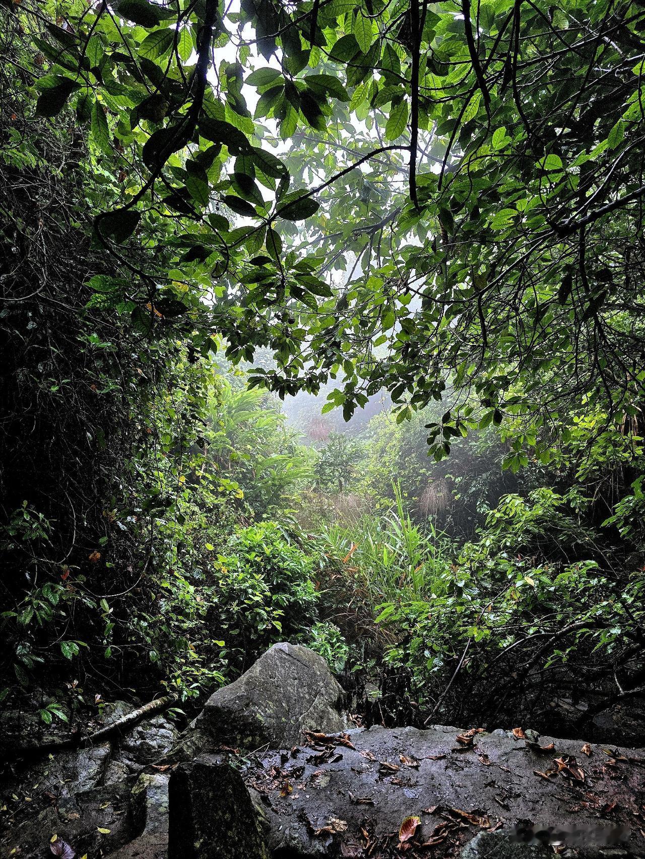 春雨过后登山乐