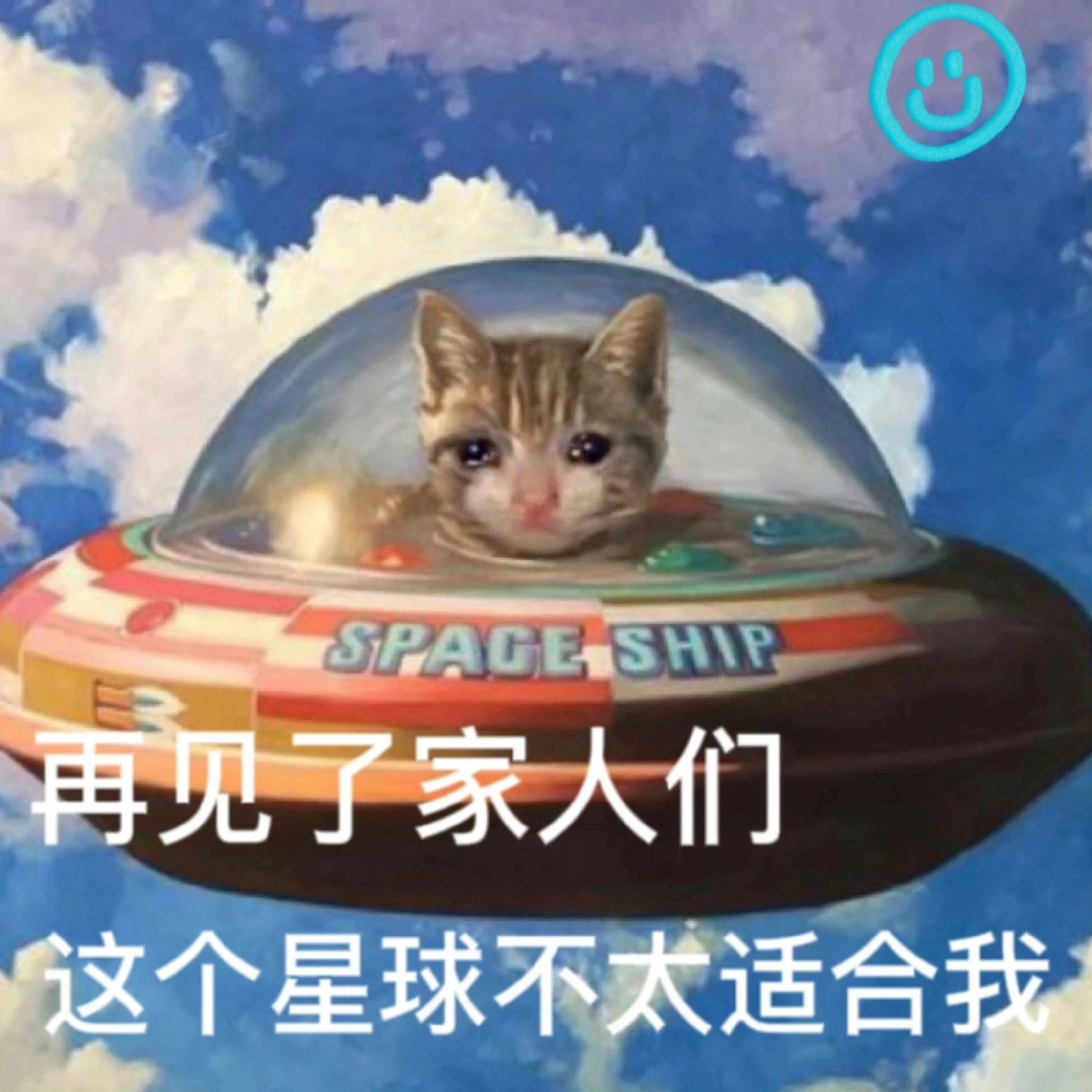 发疯表情包 ​​​