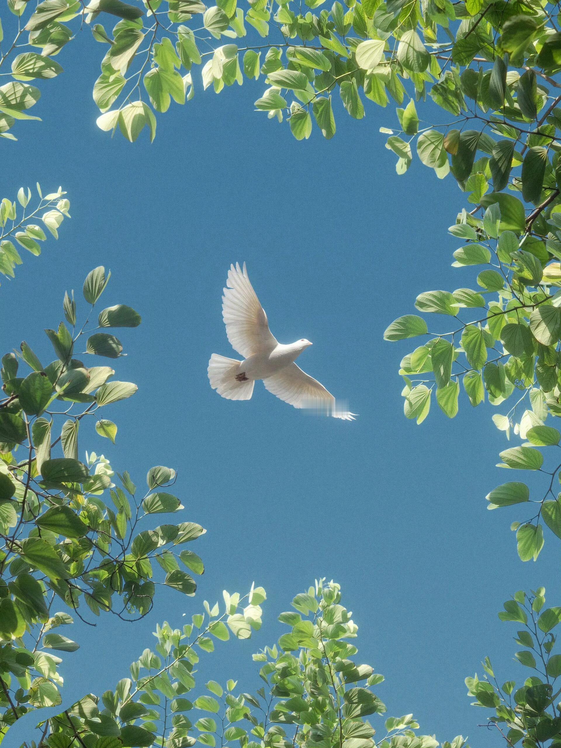 朋友圈背景图[超话] 夏天的颜色就是 黄 绿 蓝！ ​​​