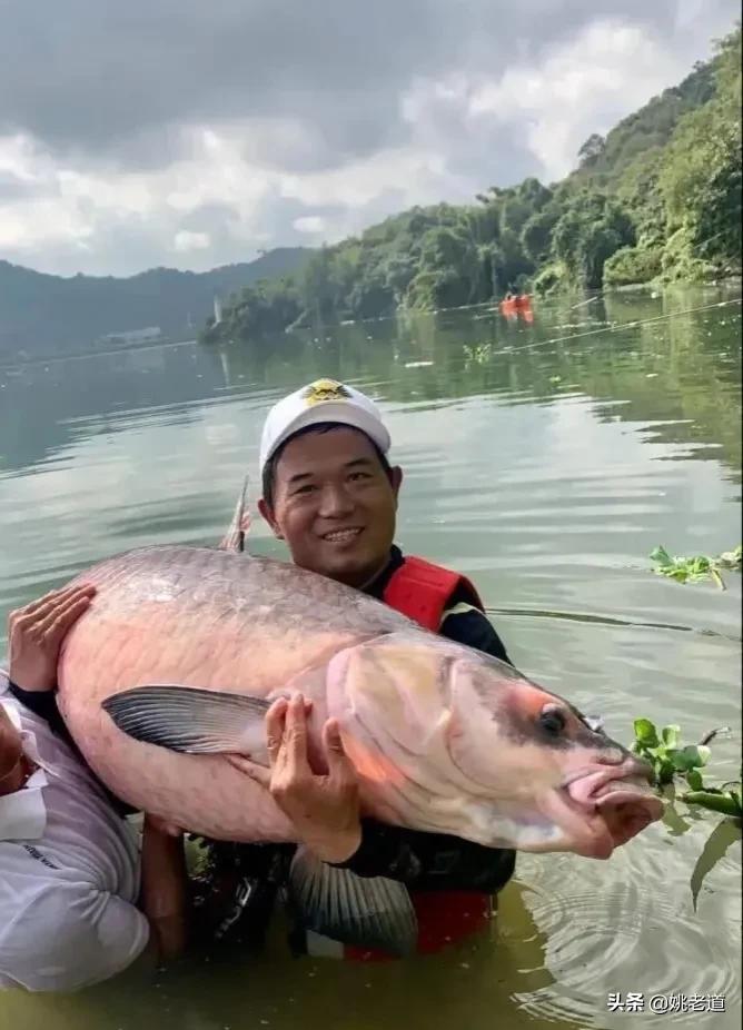 #邓刚离我们有多远# 王稳是天元的一代弟子，邓刚的徒弟，他在直播间提到：很多人建