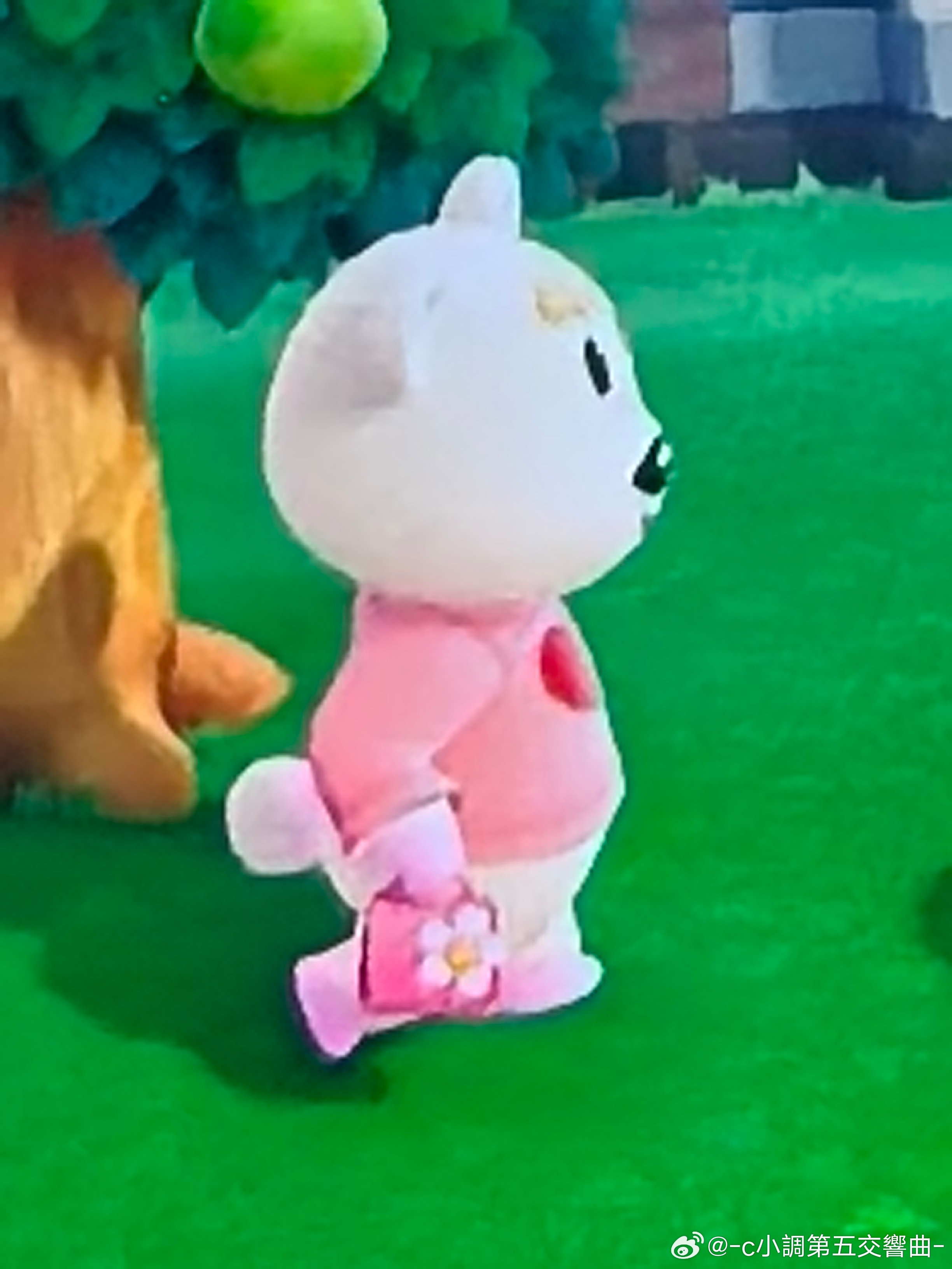 姐妹你包好看 