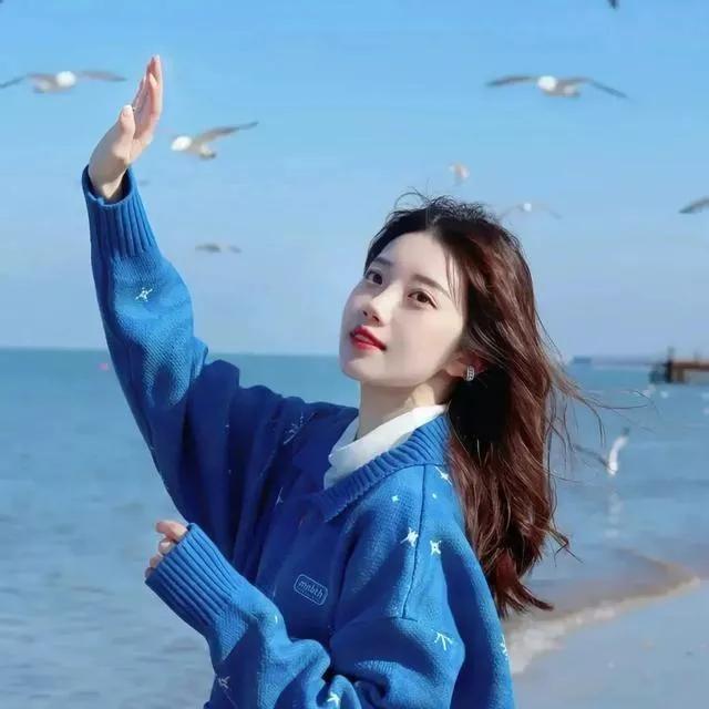 海边的温柔时光，与海鸥共舞的瞬间。海鸥 海鸥旅游 翩翩起舞海鸥 海鸥照 海鸥写真