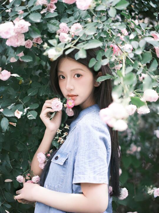 “蔷薇盛开的初夏”