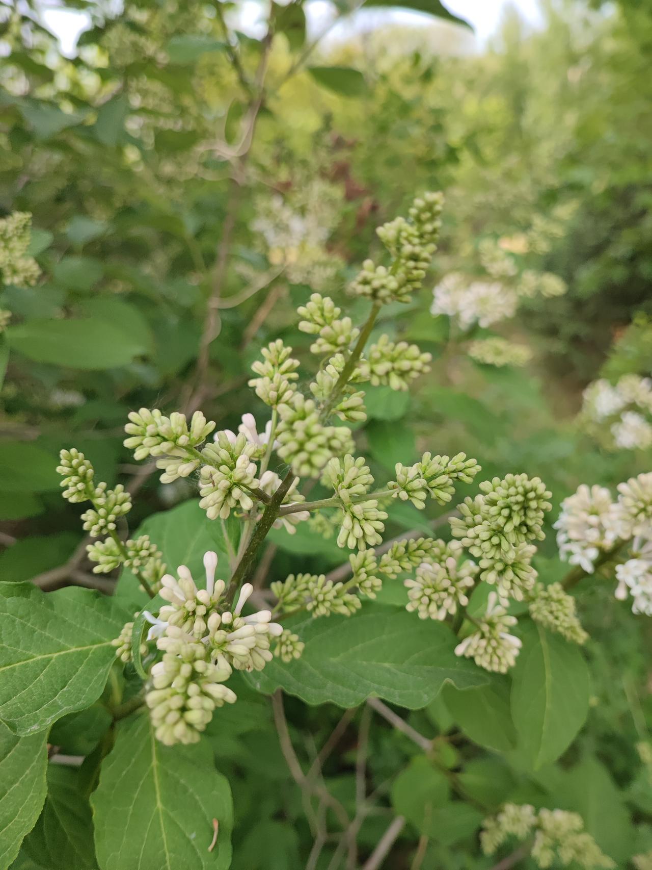 自己有时候也纳闷自己的行为
六零后七零后的友友们，
你们也和我一样吗，
没事就去