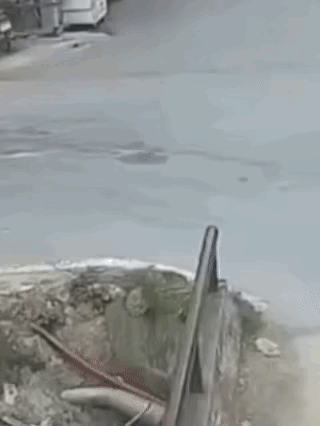 后面小哥哥：我回去和你们爸妈说，你们今天晚上不回家吃饭了。