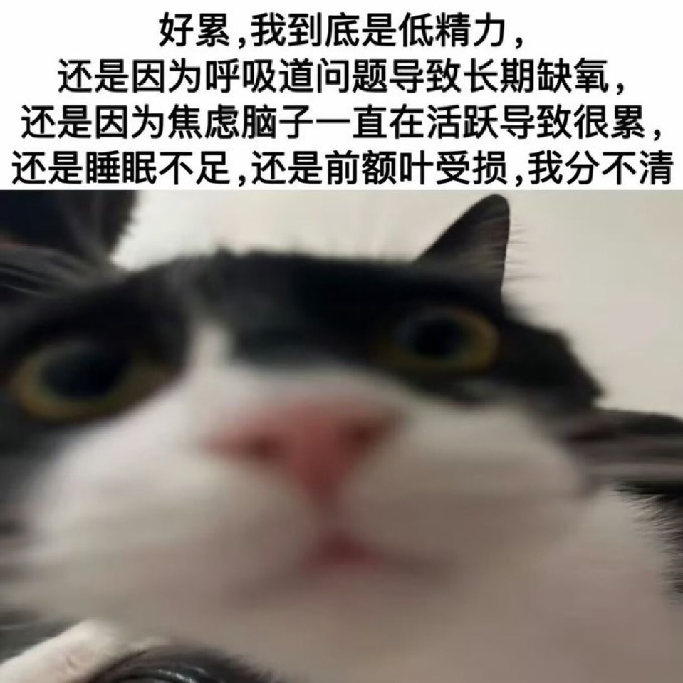 人分不清
