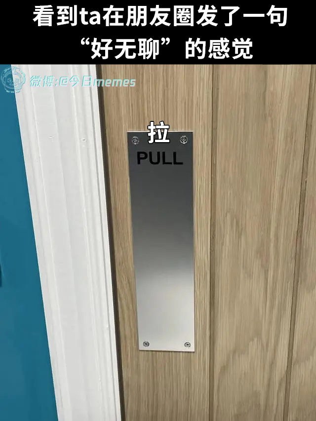 急今日meme 今日memes