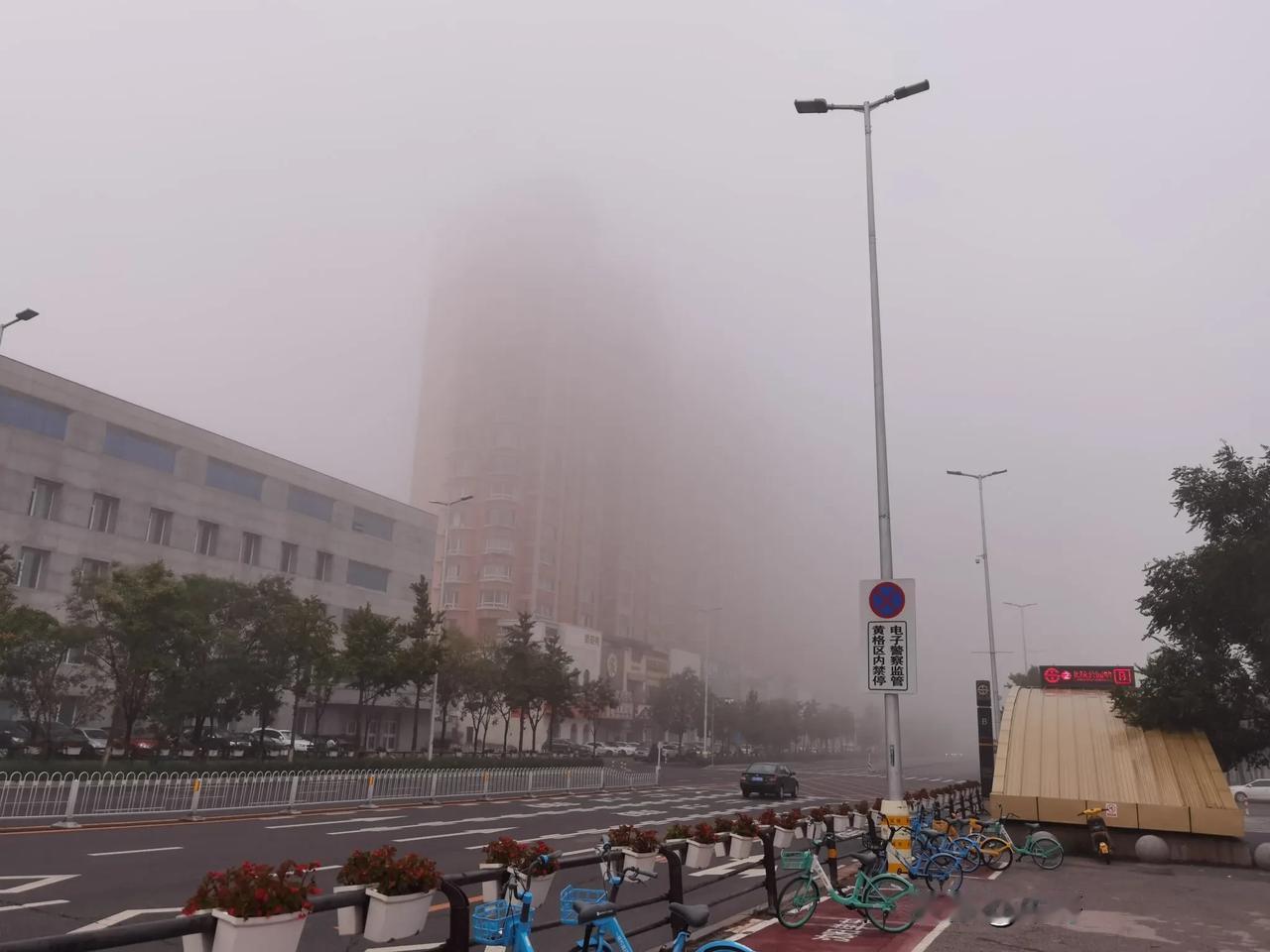 今早沈阳大雾，北陵公园和晨跑的跑友