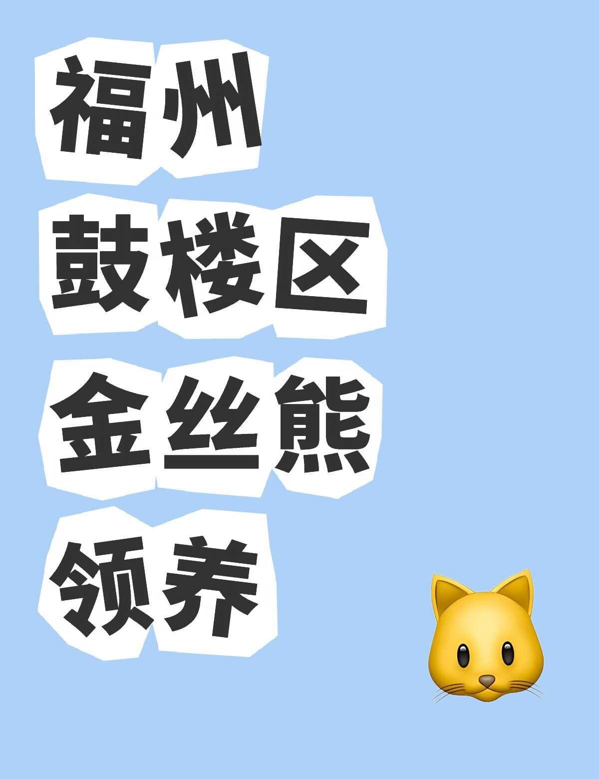 福州鼓楼区金丝熊领养 一共有三只金丝熊妹妹和一只三线银狐弟弟 单只鼠加一个75c