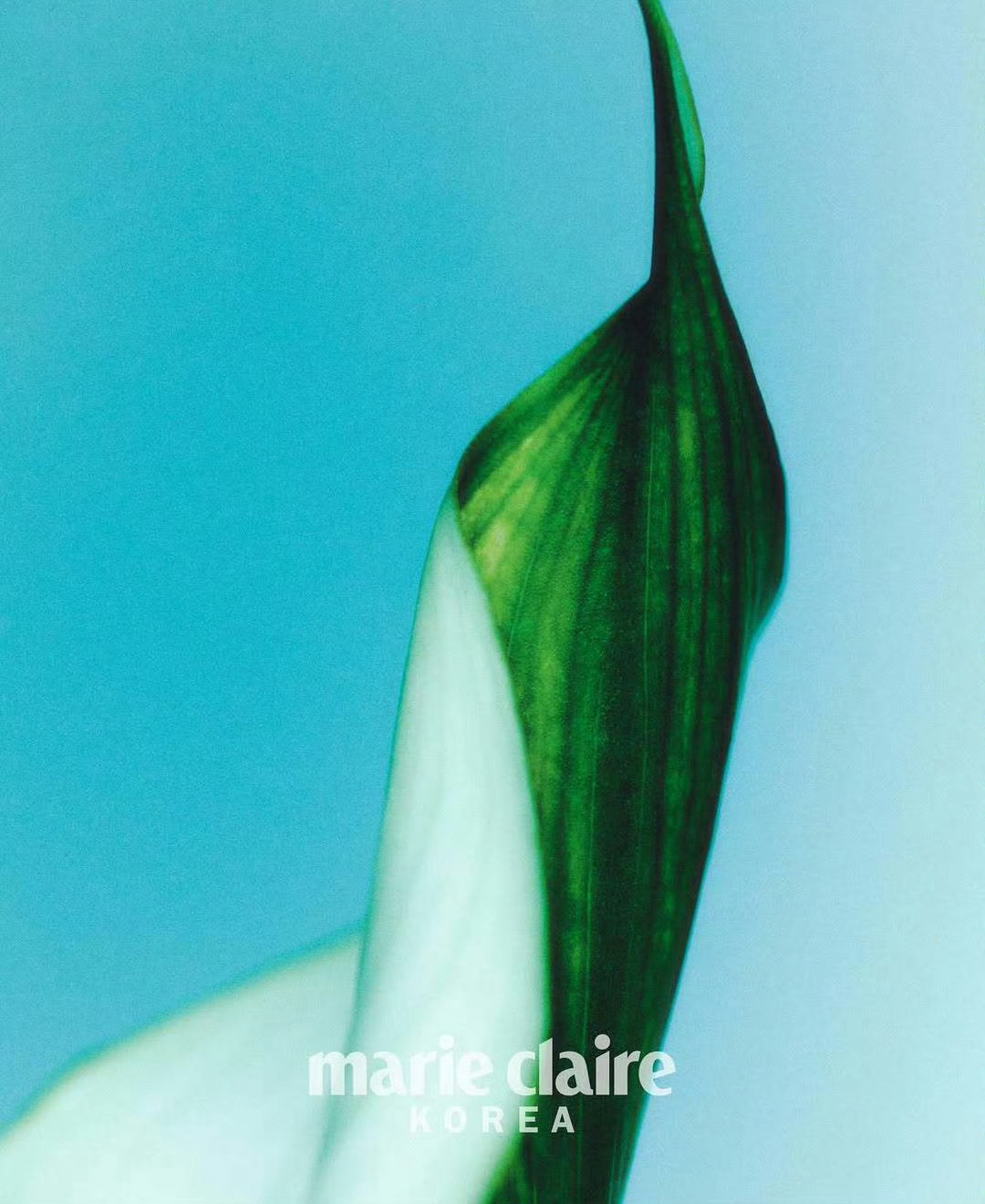 金敏荷  x  Marie Claire Korea April 2026，Be