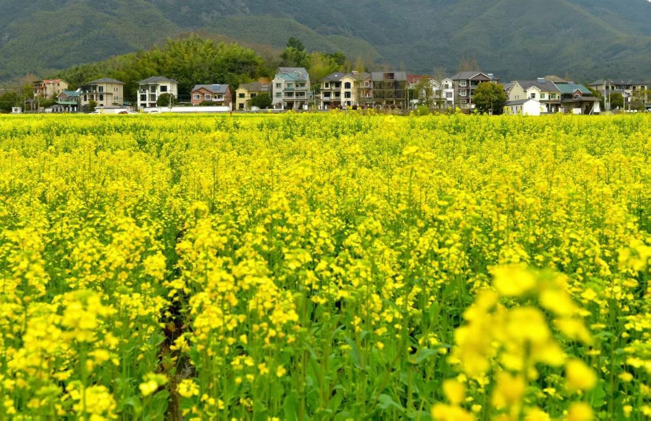 今天是5月21日 小满
 《月令七十二候集解》："四月中，小满者，物致于此小得盈