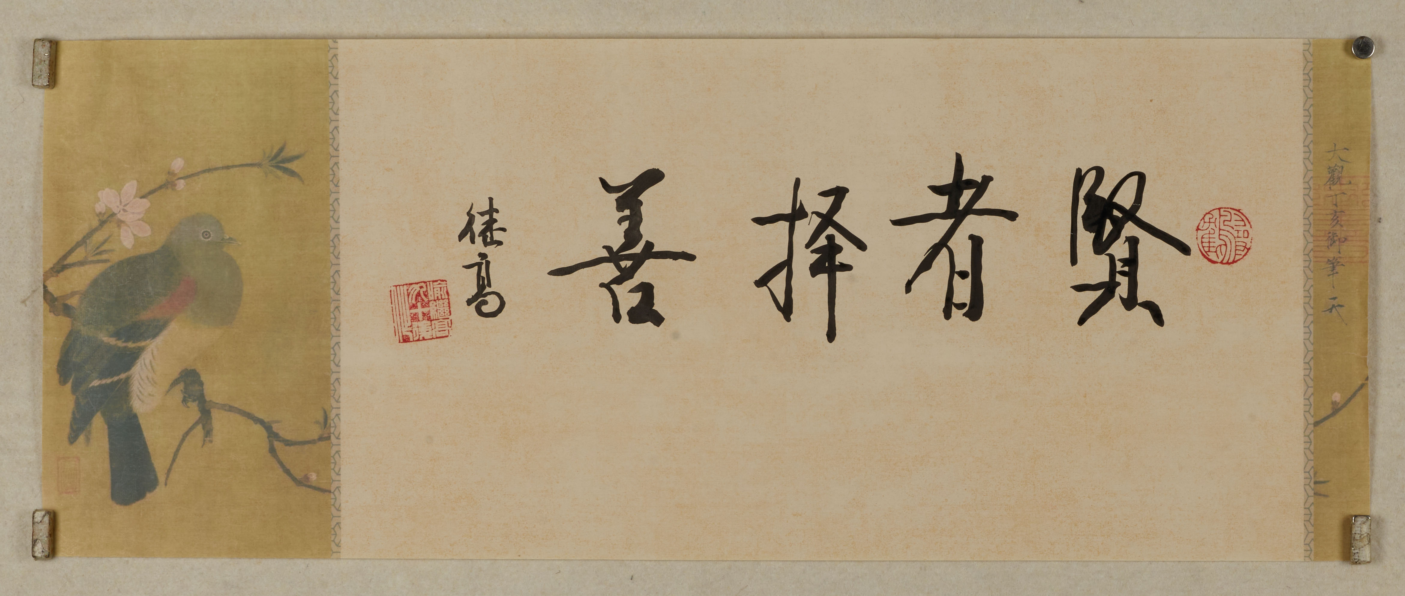 【鸟栖良木，恰是人生隐喻】画中禽鸟不恋繁花，独守清枝，这一微小抉择正是“贤者择善
