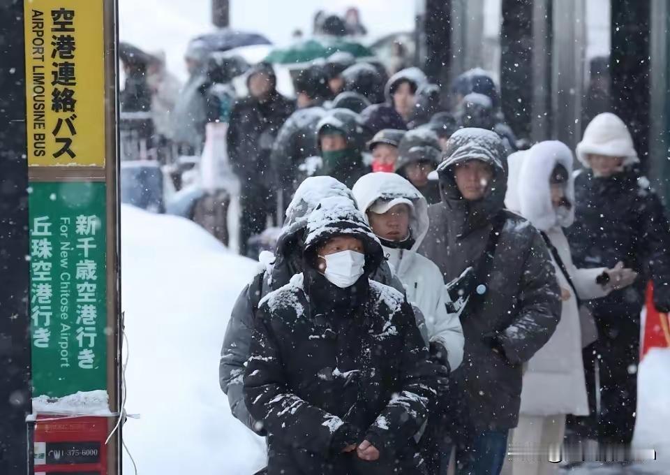 不知家国恨，冬寒求日欢！日本对华狠，这帮中国游人去递刀！不孝之子从古都有，天意不