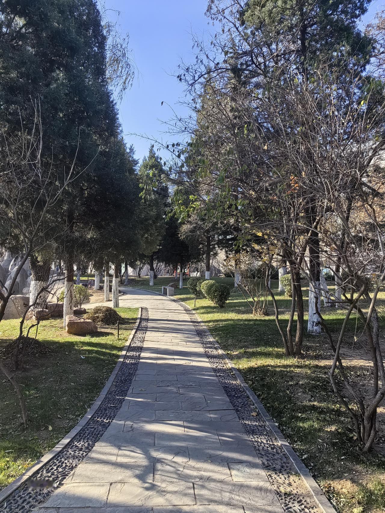 日本军国主义是否有死灰复燃的危险1929年到1930年，日本和西方国家爆发了严重