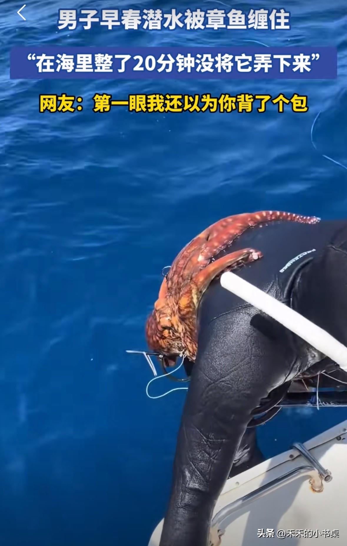 男子早春潜水，在水里被一只大章鱼缠住了。
男子说：“我在水里弄了20分钟也没有把