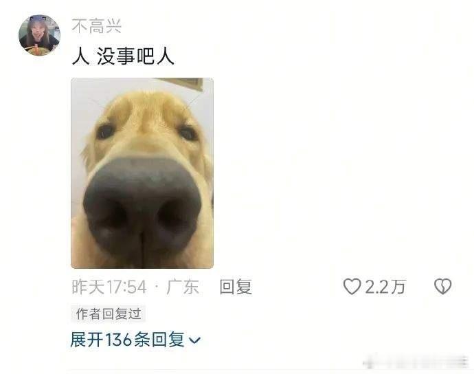 狗狗真的很关心人类的情绪 