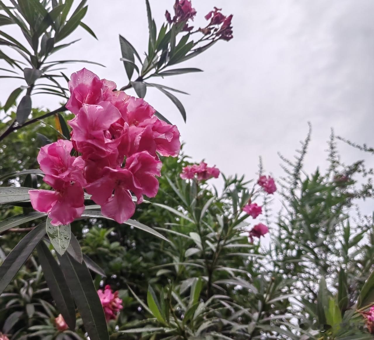 7月份，闺蜜想学古典舞，她说她的朋友也在我们小区门口这里学跳舞，老师教得可好了。