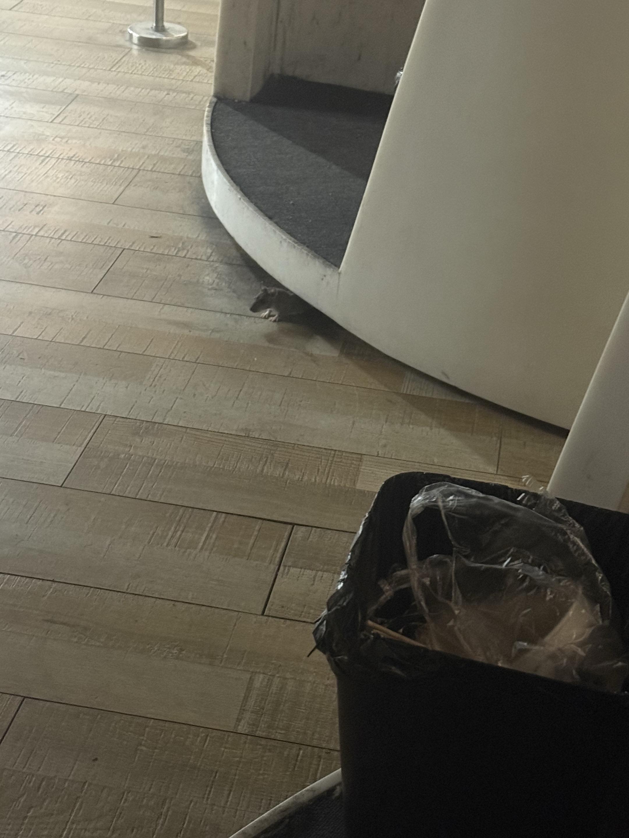 好幸福、感觉自己恋爱了