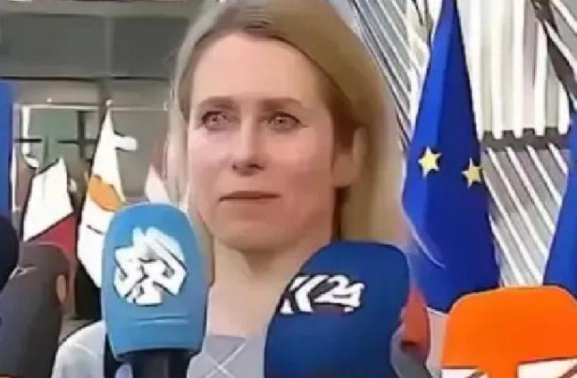 欧盟一纸公告再次引爆舆论场：自今年起，凡涉及中国背景的科研机构，将被排除在“地平