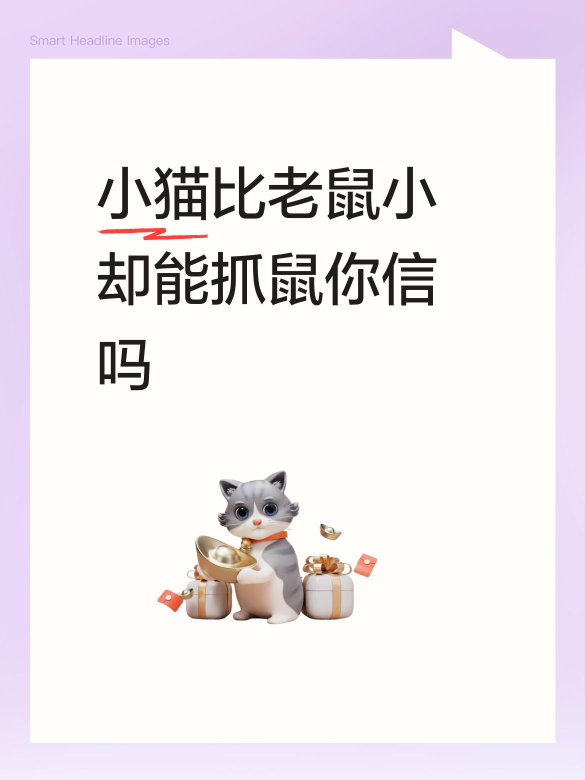 小猫比老鼠小却能抓鼠你信吗太信了，猫抓耗子天生的本性，而且猫咪就是在野外生存的，