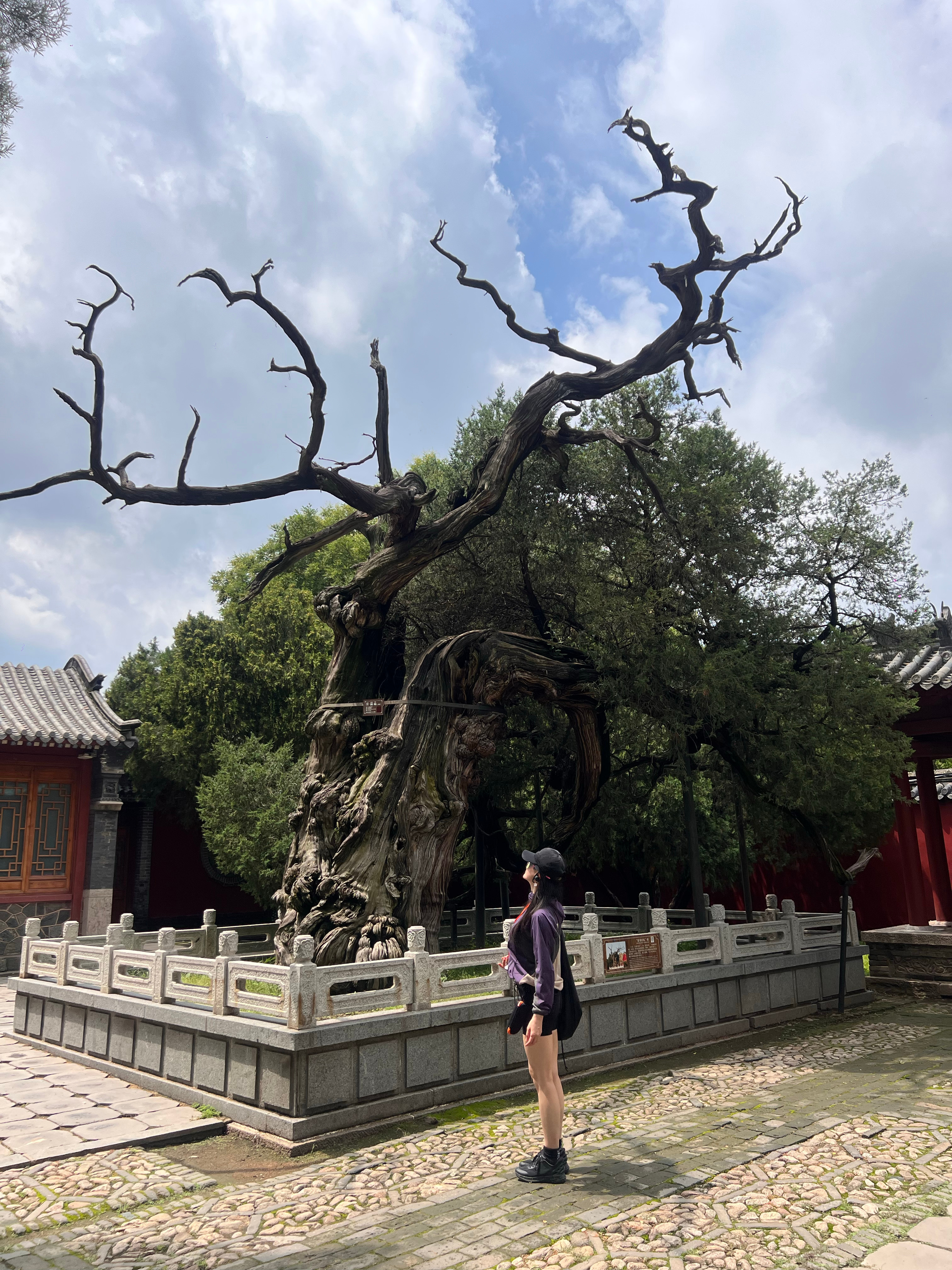 今日一个人神游泰安岱庙，租了解讲器，时间问题完整走完中线与东线，西线没去。讲解员