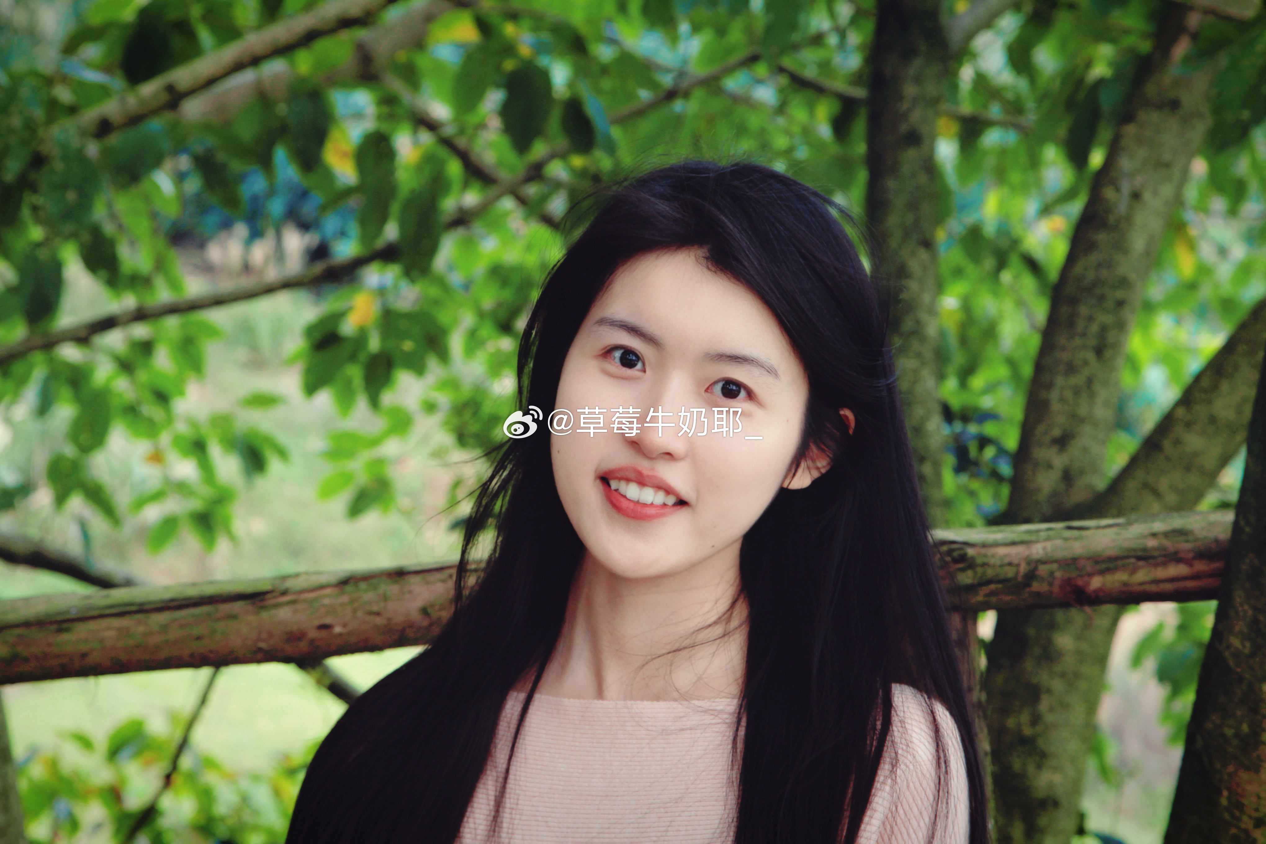 春和景明 深圳·福田