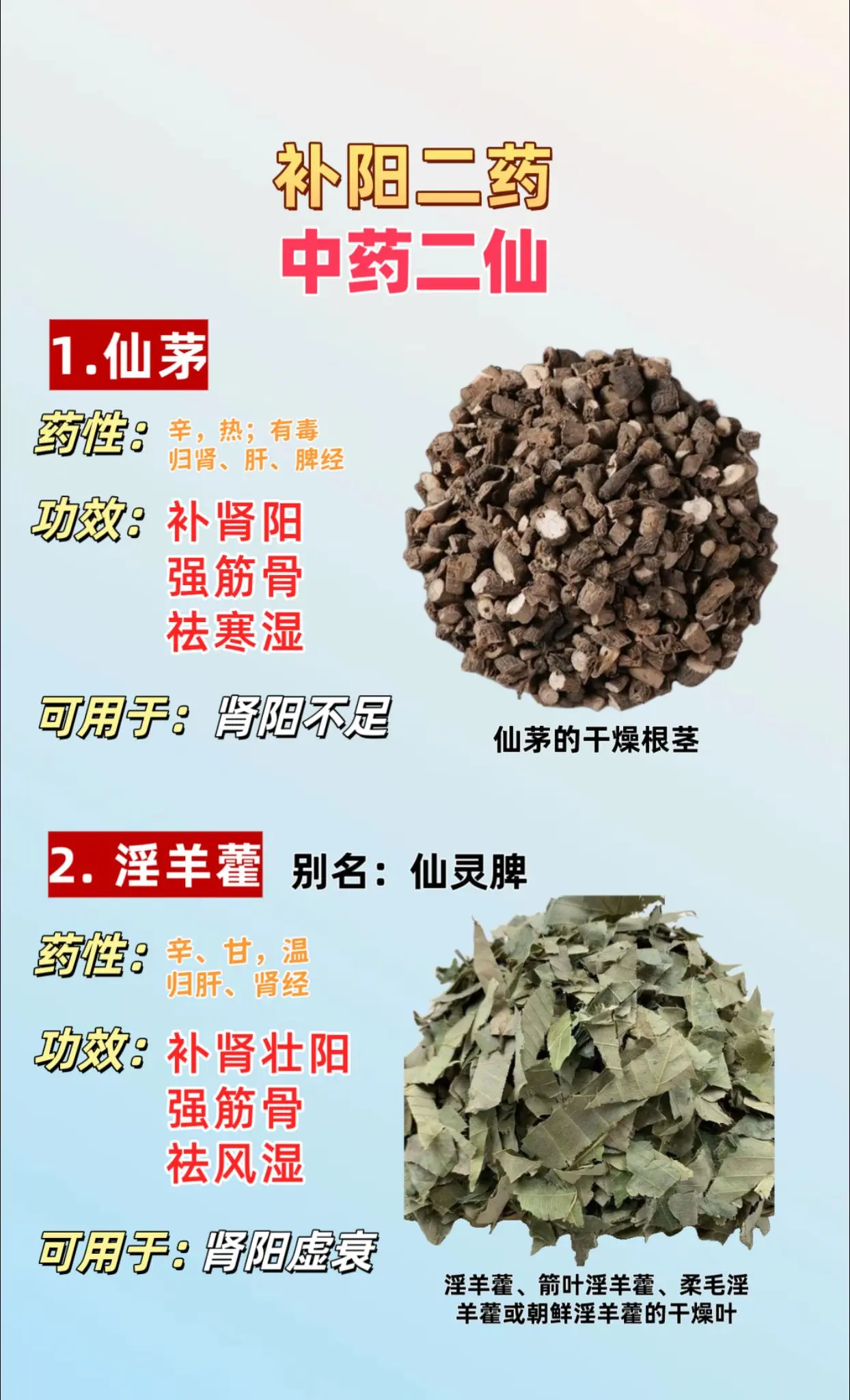 补阳二药与补阴二药。中药二仙(仙茅 仙灵脾)与中药二至(女贞子 墨旱莲)