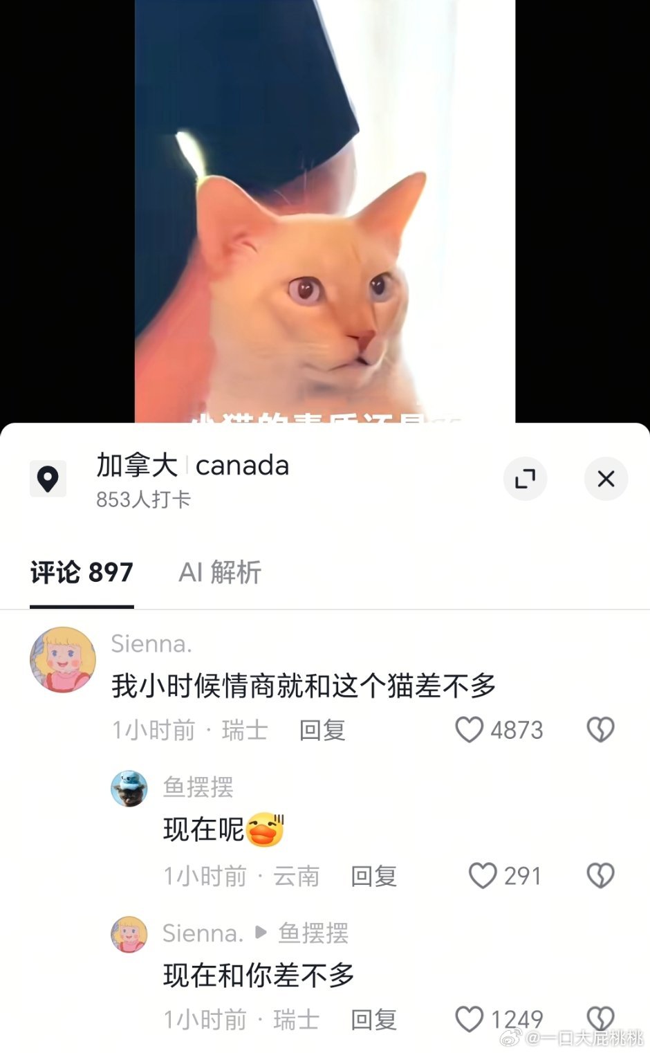 猫猫看到特殊人士的反应，这个评论[允悲] ​​​