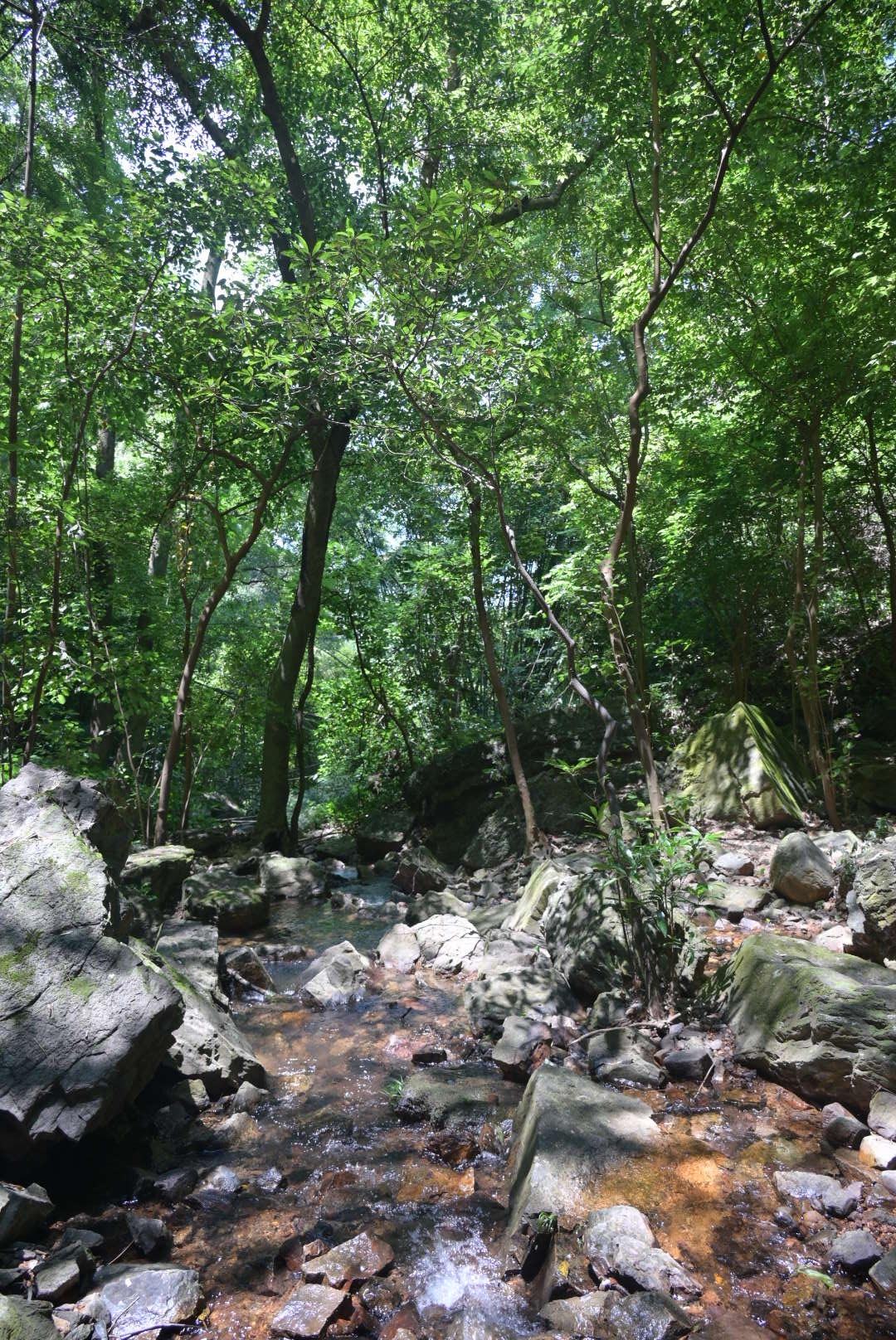 大山里的原生态和友友们分享一下灵川清江田瀑布
