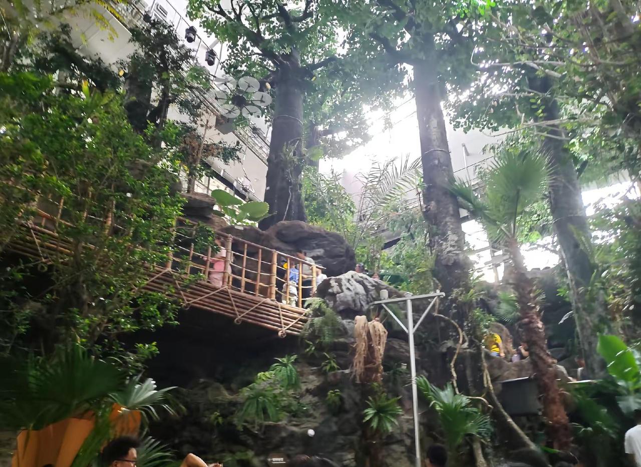 打卡上海科技馆，体验感极差