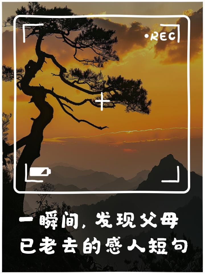 父母的衰老从不是突然降临，而是散落在无数个被我们忽略的日常瞬间，悄悄撞进心里。