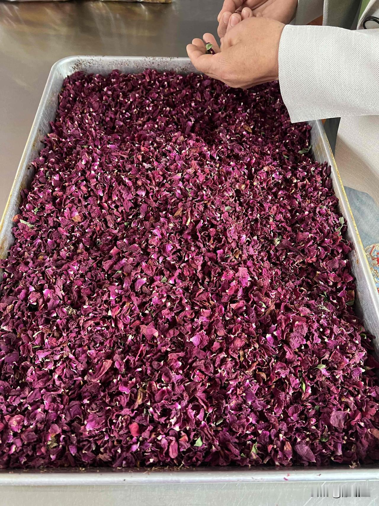 地点：兰州玫瑰花瓣做玫瑰饼
这是我去兰州永登县去买这种玫瑰饼，发现店家做玫瑰饼的