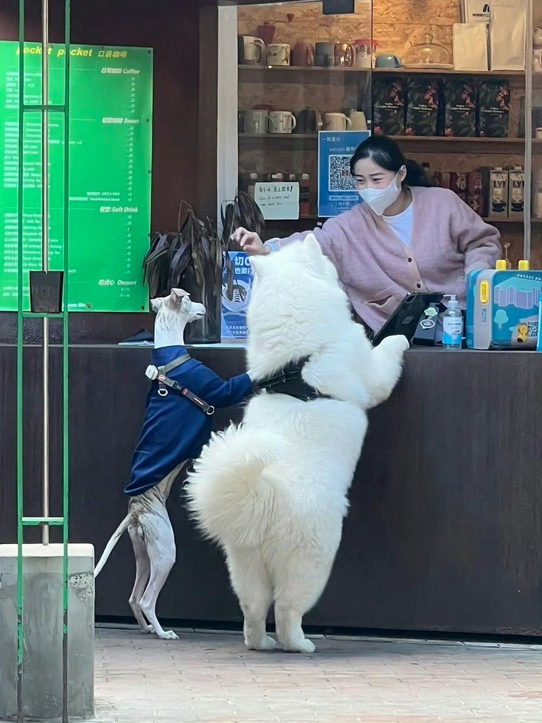 欢迎光临ᕑᗢᓫmeme