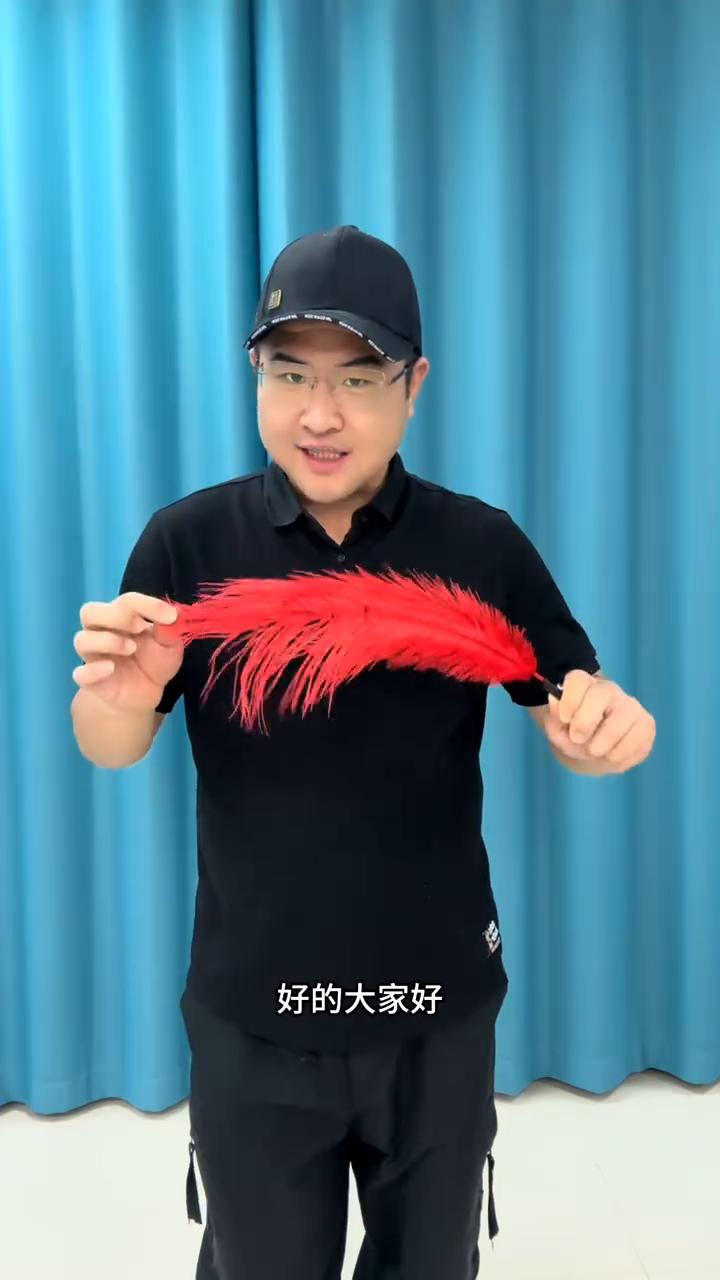 这招骗了我20年，今天终于破解了。
大家好，这里有一条羽毛，轻轻的摇晃几下，它可