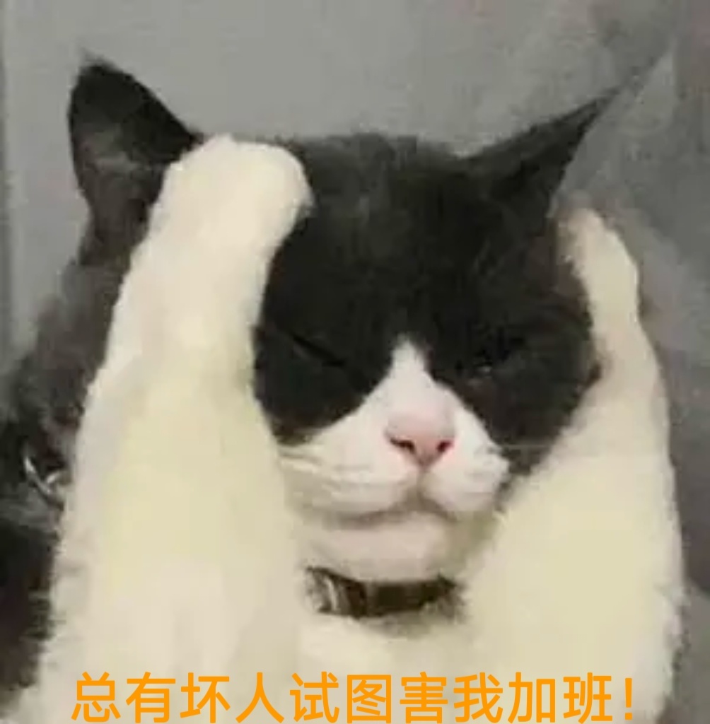 头疼欲裂，工作已经忙的脚后跟打后脑勺，还有清澈愚蠢小弟弟喋喋不休对我倾诉他的感情