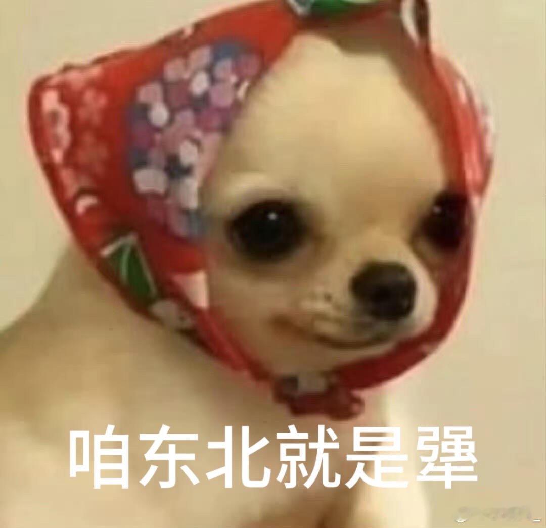 在东北我们把一件事做到极致叫犟东北大爷做酸菜，非得等够四十天，少一天都不卖，说“