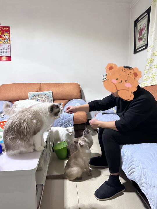 那些年……