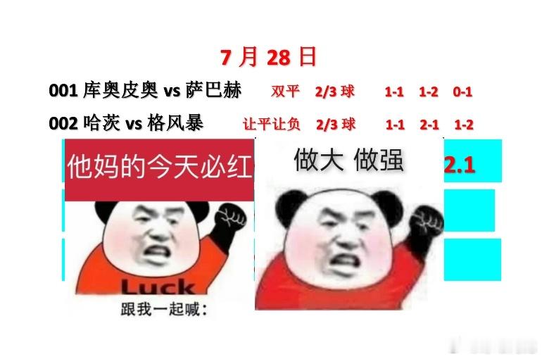 7.28两场欧冠资格赛，库奥皮奥vs萨巴赫 和哈茨vs格风暴 ，双方的第二回合，