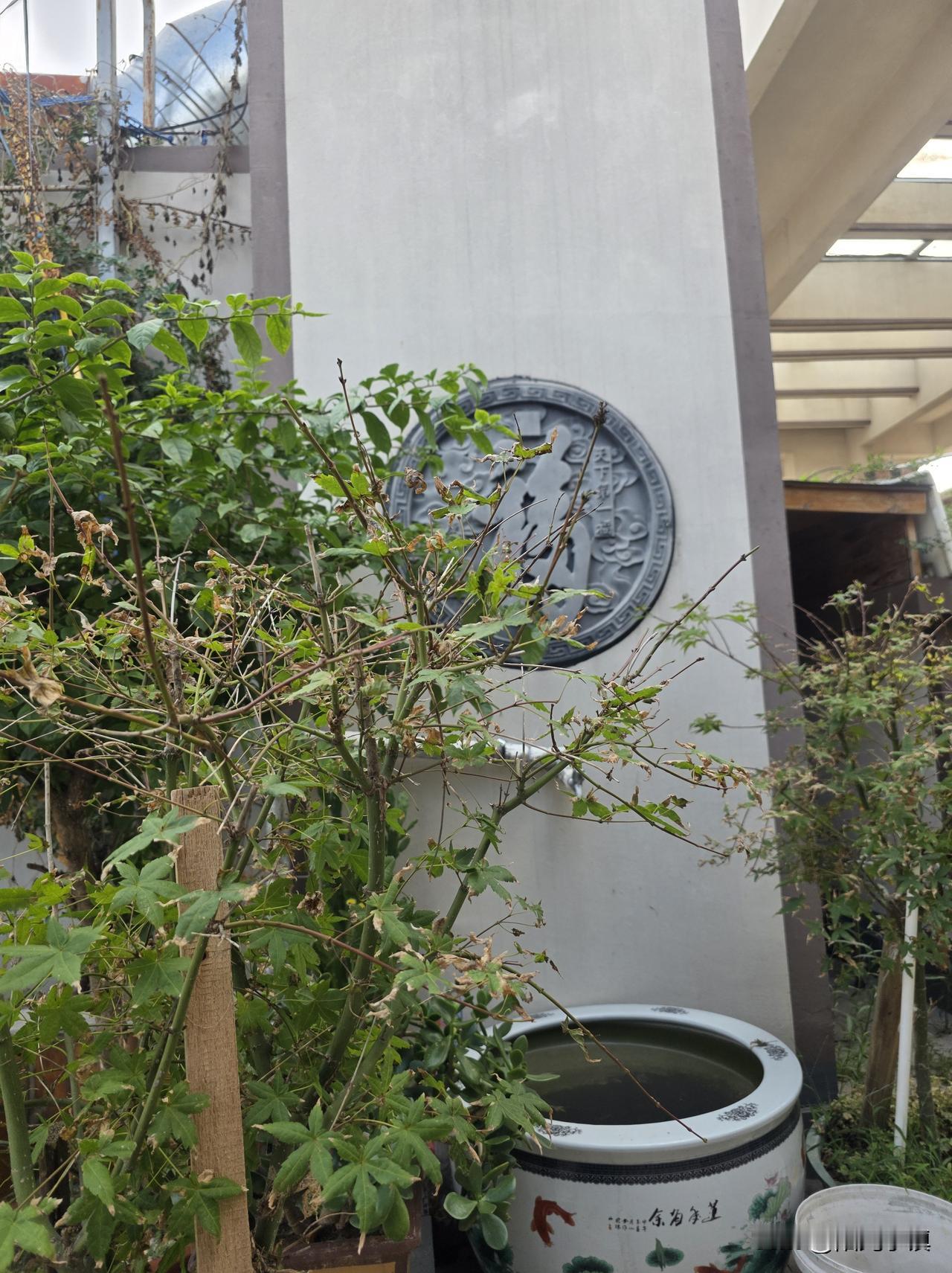 我这流水一样的日子，天天就是复制粘贴……

不知不觉到了9月。回望2026年前8