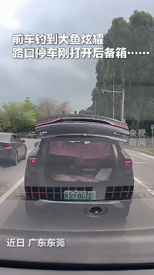  路口炫鱼，结果引来的不是羡慕，是铁骑！

友友们，快来看这位东莞钓友的年度大型