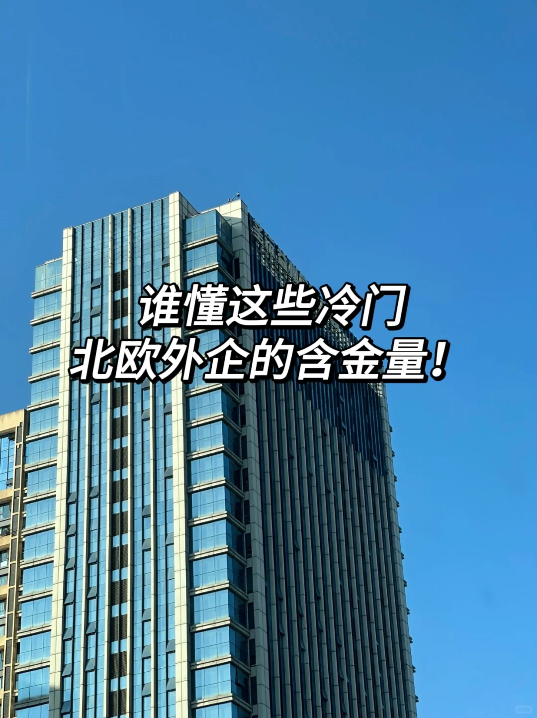 谁懂这些冷门北欧外企的含金量啊！