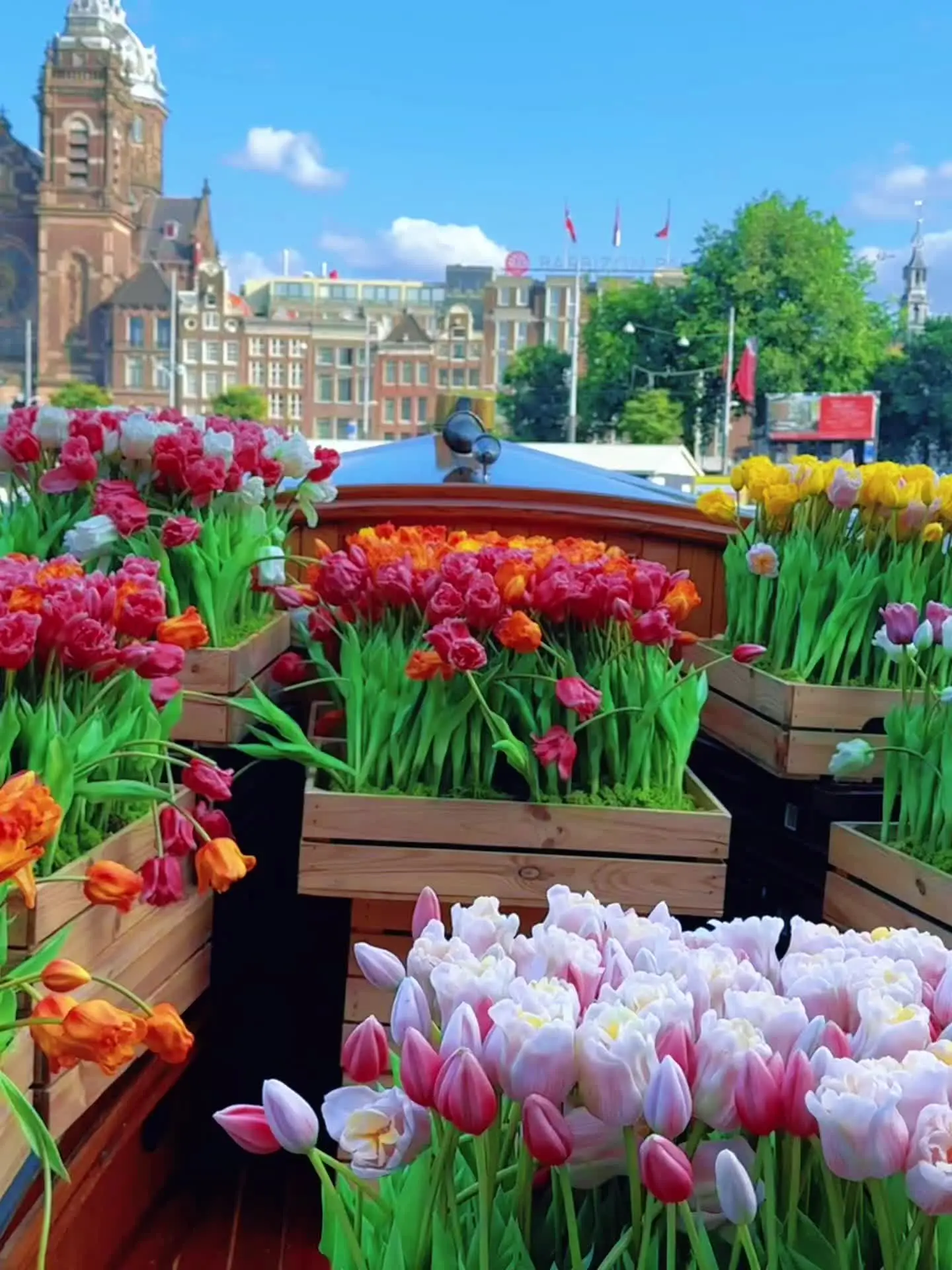 🇳🇱阿姆斯特丹⛵️充满了多巴胺的城市 🇳🇱阿姆斯特丹⛵️充满了...